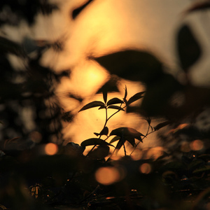 日本人玩胸吃乳30分钟
